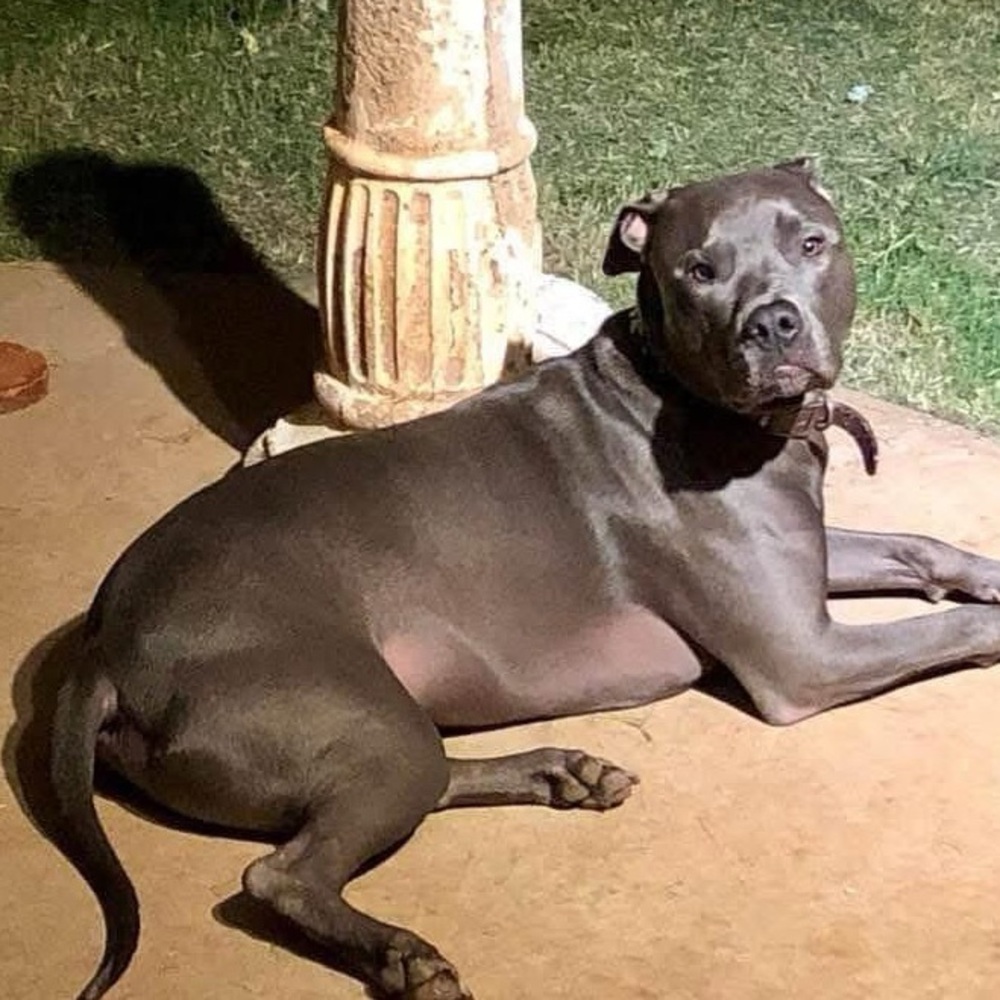 Meet your Posher, Jerri